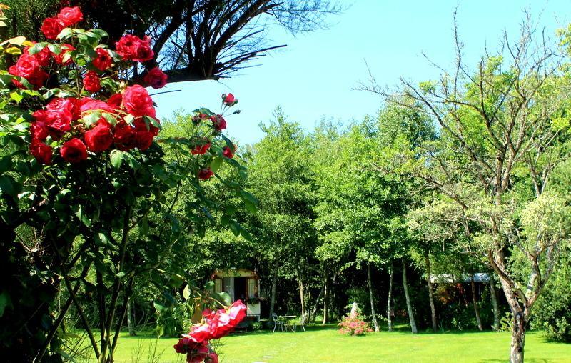 カミエ Roulottes Du Rouard Bed & Breakfast 部屋 写真