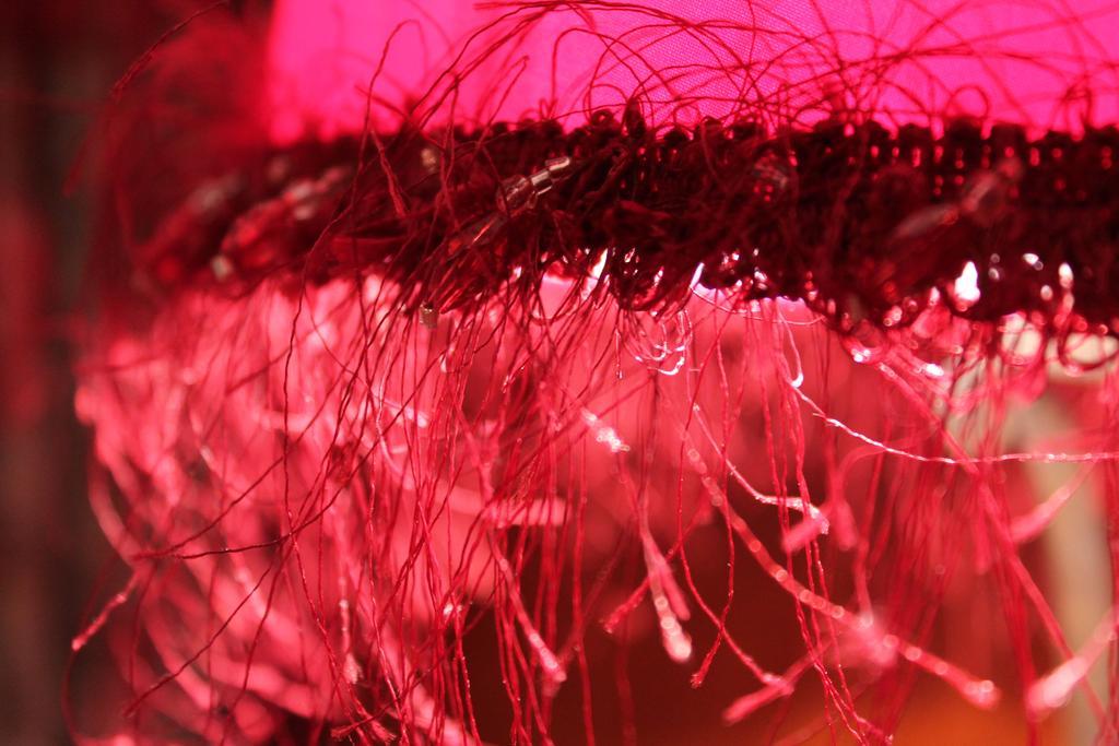 カミエ Roulottes Du Rouard Bed & Breakfast 部屋 写真