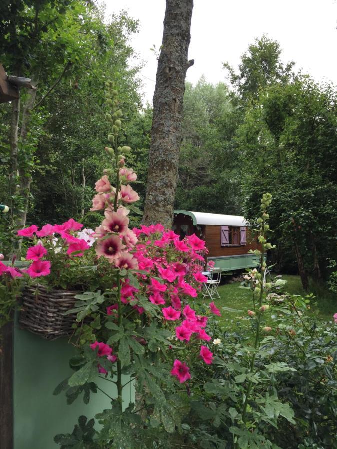 カミエ Roulottes Du Rouard Bed & Breakfast エクステリア 写真
